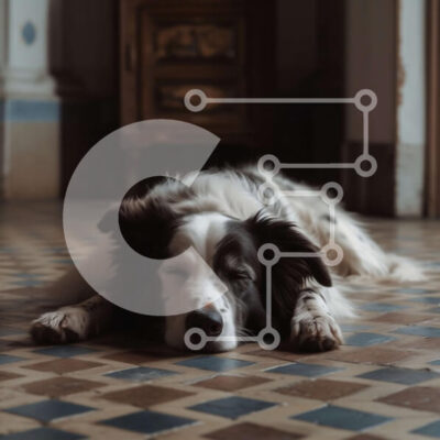 Intra Συλλεκτικό Ξύλινο Παζλ Plywood  4mm - Αξιολάτρευτο ασπρόμαυρο σκυλί που κοιμάται στο καρό πάτωμα Σε Ξύλινο Κουτί - Διαστάσεις: 10x10 cm – 25 κομμάτια - Image 1