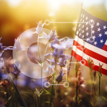 Intra Συλλεκτικό Ξύλινο Παζλ Plywood  4mm - Αμερικανική σημαία στο πεδίο των αγριολούλουδων με τον ήλιο στο φόντο Σε Ξύλινο Κουτί - Διαστάσεις: 10x10 cm – 25 κομμάτια - Image 1