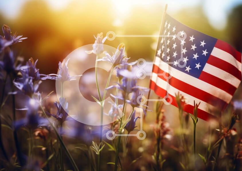 Intra Συλλεκτικό Ξύλινο Παζλ Plywood  4mm - Αμερικανική σημαία στο πεδίο των αγριολούλουδων με τον ήλιο στο φόντο Σε Ξύλινο Κουτί - Διαστάσεις: 10x10 cm – 25 κομμάτια