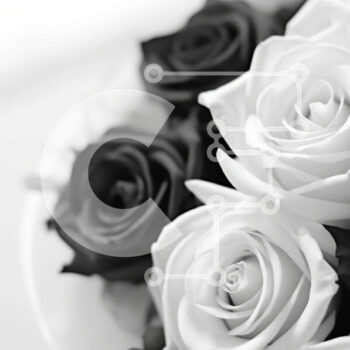 Intra Συλλεκτικό Ξύλινο Παζλ Plywood  4mm - Μπουκέτο ασπρόμαυρο τριαντάφυλλο σε ανοιχτό δοχείο Σε Ξύλινο Κουτί - Διαστάσεις Puzzle: 10x10 cm – 25 κομμάτια - Image 1