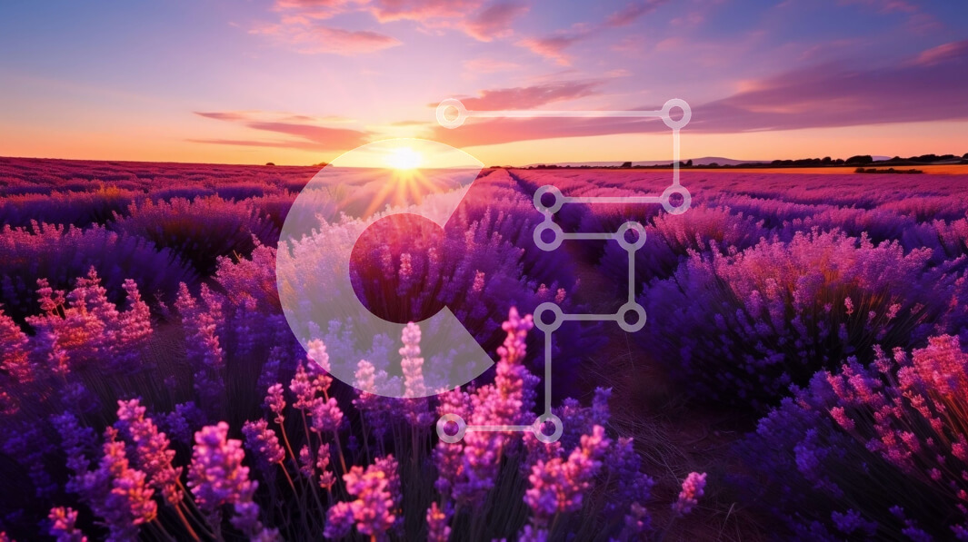 Intra Συλλεκτικό Ξύλινο Παζλ Plywood  4mm - Εκπληκτική εικόνα του χωραφιού λεβάντας στο ηλιοβασίλεμα Σε Ξύλινο Κουτί - Διαστάσεις: 10x10 cm – 25 κομμάτια