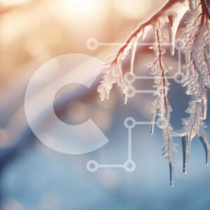 Intra Συλλεκτικό Ξύλινο Παζλ Plywood  4mm - Χειμερινό κλαδί δέντρου με παγάκια και χιόνι Σε Ξύλινο Κουτί - Διαστάσεις: 10x10 cm – 25 κομμάτια