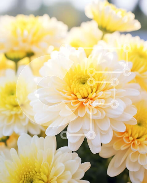 2imEsXyk2YNTM10LCeRIqbERPr2-desktop