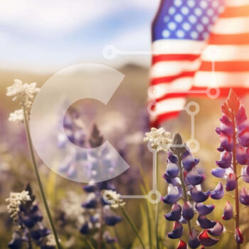 Intra Συλλεκτικό Ξύλινο Παζλ Plywood  4mm - Αμερικανική σημαία στο πεδίο των μωβ και λευκών λουλουδιών Σε Ξύλινο Κουτί - Διαστάσεις: 10x10 cm – 25 κομμάτια - Image 1