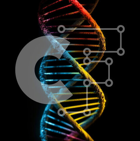 Intra Συλλεκτικό Ξύλινο Παζλ Plywood  4mm - Εικόνα Δομής διπλής έλικας DNA - Εικονικό σύμβολο Γενετικής και Μοριακής Βιολογίας Σε Ξύλινο Κουτί - Διαστάσεις Puzzle: 10x10 cm – 25 κομμάτια - Image 1