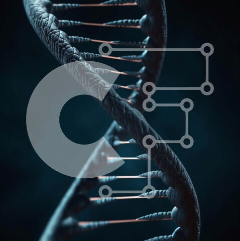 Intra Συλλεκτικό Ξύλινο Παζλ Plywood  4mm - Απεικόνιση διπλής έλικας DNA κλώνου Σε Ξύλινο Κουτί - Διαστάσεις Puzzle: 10x10 cm – 25 κομμάτια - Image 1