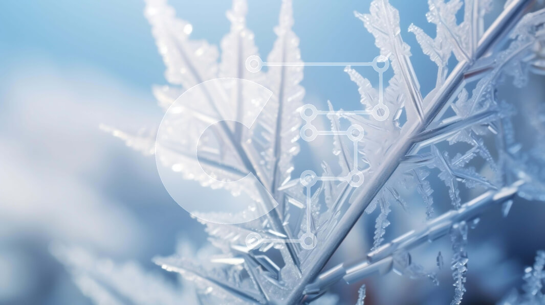 Intra Συλλεκτικό Ξύλινο Παζλ Plywood  4mm - Κοντινό πλάνο ενός παγωμένου κλάδου με παγετό και νιφάδες χιονιού Σε Ξύλινο Κουτί - Διαστάσεις: 10x10 cm – 25 κομμάτια