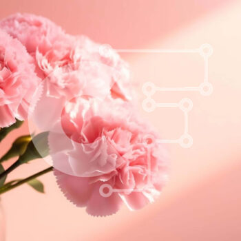 Intra Συλλεκτικό Ξύλινο Παζλ Plywood  4mm - Ροζ γαρίφαλα σε γυάλινο βάζο σε πορτοκαλί τοίχο Σε Ξύλινο Κουτί - Διαστάσεις Puzzle: 10x10 cm – 25 κομμάτια - Image 1