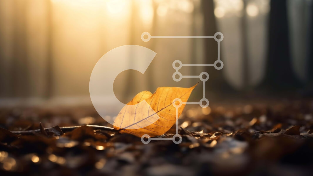 Intra Συλλεκτικό Ξύλινο Παζλ Plywood  4mm - Φθινοπωρινό φύλλο στο δάσος με την αντανάκλαση του ηλιακού φωτός Σε Ξύλινο Κουτί - Διαστάσεις: 10x10 cm – 25 κομμάτια