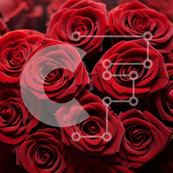 Intra Συλλεκτικό Ξύλινο Παζλ Plywood  4mm - Ρομαντικό μπουκέτο με κόκκινα τριαντάφυλλα σε σχήμα καρδιάς Σε Ξύλινο Κουτί - Διαστάσεις Puzzle: 10x10 cm – 25 κομμάτια - Image 1