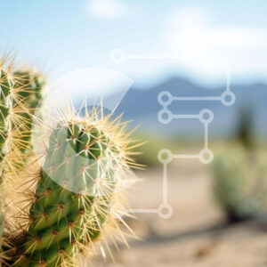 Intra Συλλεκτικό Ξύλινο Παζλ Plywood  4mm - Φυτά κάκτων στην έρημο με τα βουνά Σε Ξύλινο Κουτί - Διαστάσεις: 10x10 cm – 25 κομμάτια