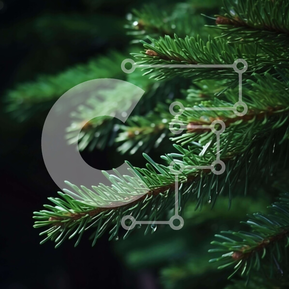 Intra Συλλεκτικό Ξύλινο Παζλ Plywood  4mm - Κλαδί πράσινου πεύκου με βελόνες για Χριστουγεννιάτικη διακόσμηση Σε Ξύλινο Κουτί - Διαστάσεις: 10x10 cm – 25 κομμάτια