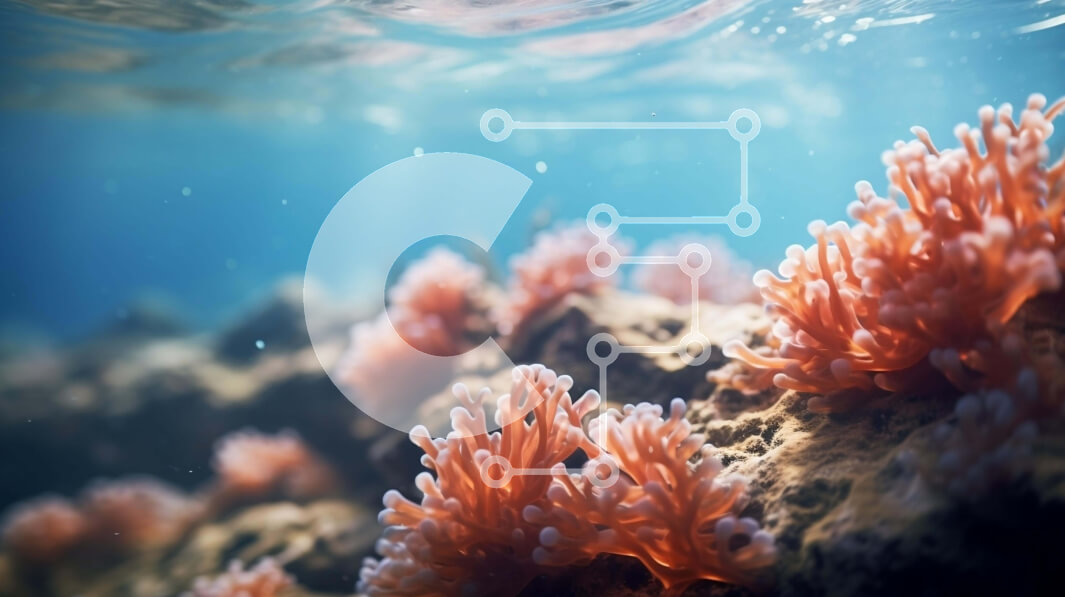 Intra Συλλεκτικό Ξύλινο Παζλ Plywood  4mm - Κοντινό πλάνο της πορτοκαλί θαλάσσιας ανεμώνης στον κοραλλιογενή ύφαλο Σε Ξύλινο Κουτί - Διαστάσεις: 10x10 cm – 25 κομμάτια