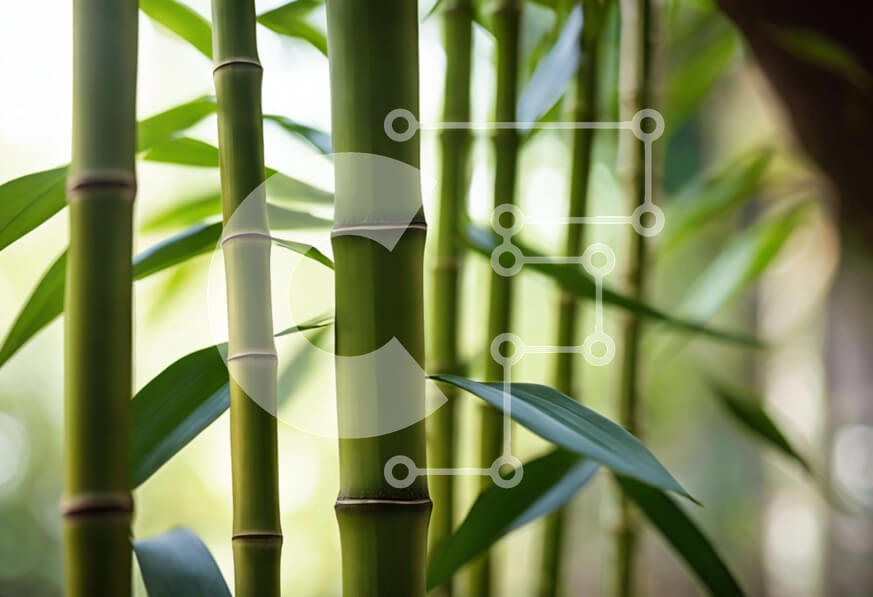 Intra Συλλεκτικό Ξύλινο Παζλ Plywood  4mm - Κοντινό πλάνο κοτσάνια μπαμπού Σε Ξύλινο Κουτί - Διαστάσεις: 10x10 cm – 25 κομμάτια