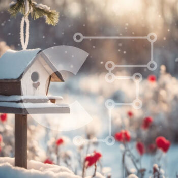 Intra Συλλεκτικό Ξύλινο Παζλ Plywood  4mm - Χιονισμένο Birdhouse με κόκκινα λουλούδια Σε Ξύλινο Κουτί - Διαστάσεις: 10x10 cm – 25 κομμάτια - Image 1