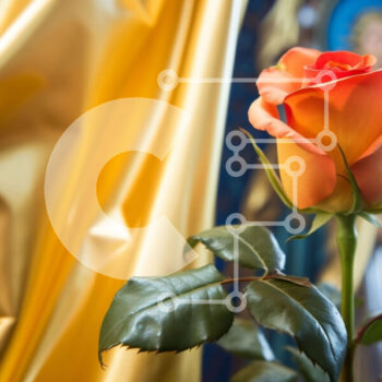 Intra Συλλεκτικό Ξύλινο Παζλ Plywood  4mm - Πορτοκαλί τριαντάφυλλο μπροστά από χρυσή κουρτίνα Σε Ξύλινο Κουτί - Διαστάσεις Puzzle: 10x10 cm – 25 κομμάτια - Image 1