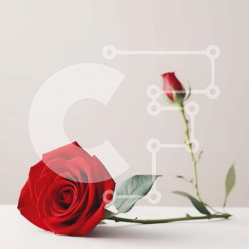 Intra Συλλεκτικό Ξύλινο Παζλ Plywood  4mm - Μονό κόκκινο τριαντάφυλλο σε λευκό τραπέζι Σε Ξύλινο Κουτί - Διαστάσεις Puzzle: 10x10 cm – 25 κομμάτια - Image 1