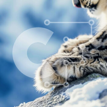 Intra Συλλεκτικό Ξύλινο Παζλ Plywood  4mm - Snow Leopard στους Snowy Rocks Σε Ξύλινο Κουτί - Διαστάσεις: 10x10 cm – 25 κομμάτια - Image 1