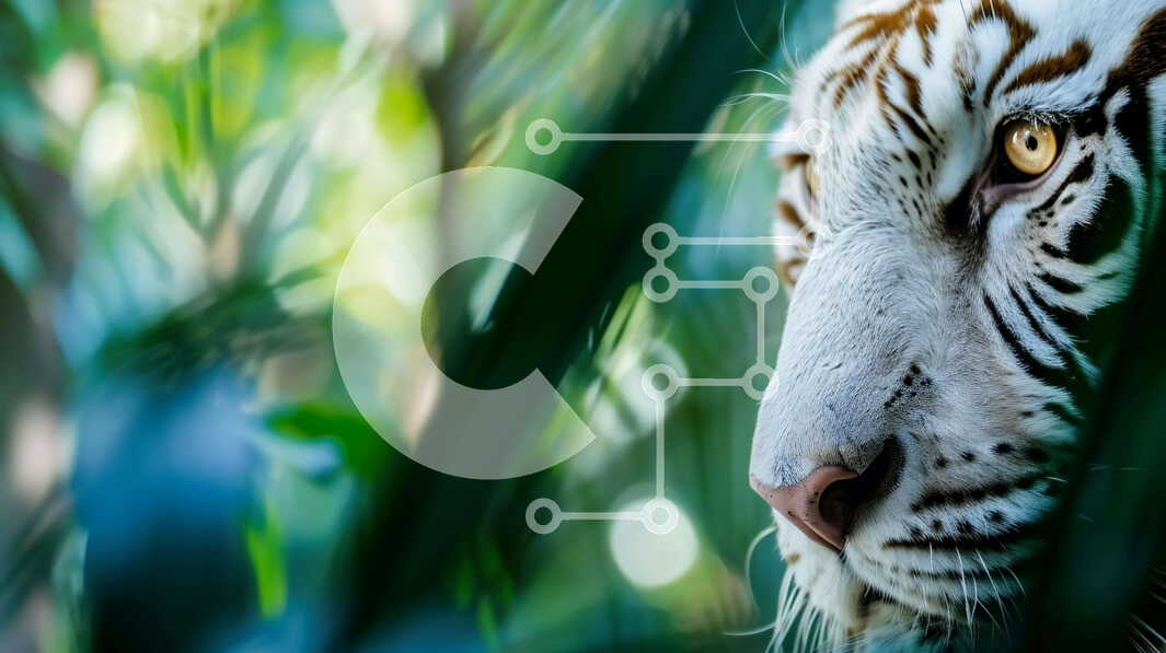 Intra Συλλεκτικό Ξύλινο Παζλ Plywood  4mm - Λευκή τίγρη που κρυφοκοιτάζει πίσω από το πράσινο φύλλωμα Σε Ξύλινο Κουτί - Διαστάσεις: 10x10 cm – 25 κομμάτια