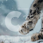 Intra Συλλεκτικό Ξύλινο Παζλ Plywood  4mm – Snow Leopard Paws στο χιόνι Σε Ξύλινο Κουτί – Διαστάσεις: 10×10 cm – 25 κομμάτια