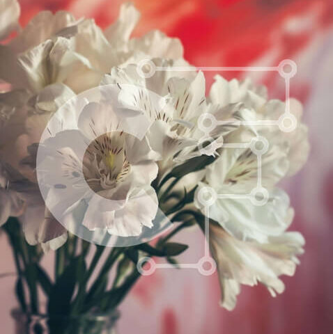 Intra Συλλεκτικό Ξύλινο Παζλ Plywood 4mm - Βάζο με λευκά λουλούδια σε αφηρημένο κόκκινο και πορτοκαλί φόντο Σε Ξύλινο Κουτί - Διαστάσεις Puzzle: 10x10 cm – 25 κομμάτια - Image 1