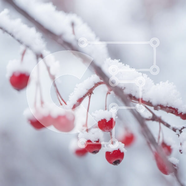 2imFLsaNFdIB9ztcU31ObK6sn4P-desktop