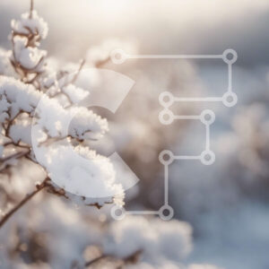 Intra Συλλεκτικό Ξύλινο Παζλ Plywood  4mm - Χειμερινό τοπίο - Χιονισμένος θάμνος στο φως του ήλιου Σε Ξύλινο Κουτί - Διαστάσεις: 10x10 cm – 25 κομμάτια