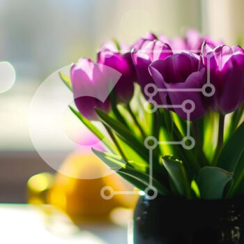 Intra Συλλεκτικό Ξύλινο Παζλ Plywood  4mm - Φρέσκες και ζωντανές μοβ τουλίπες σε μαύρο βάζο Σε Ξύλινο Κουτί - Διαστάσεις: 10x10 cm – 25 κομμάτια - Image 1