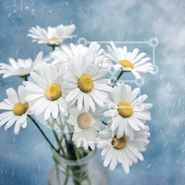 2imFWIrk0GxZxSJRGu4NeZdGtLD-desktop