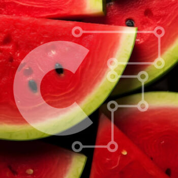 Intra Συλλεκτικό Ξύλινο Παζλ Plywood  4mm - Πολύχρωμες φέτες καρπούζι σε διάφορα σχήματα και μεγέθη Σε Ξύλινο Κουτί - Διαστάσεις: 10x10 cm – 25 κομμάτια - Image 1