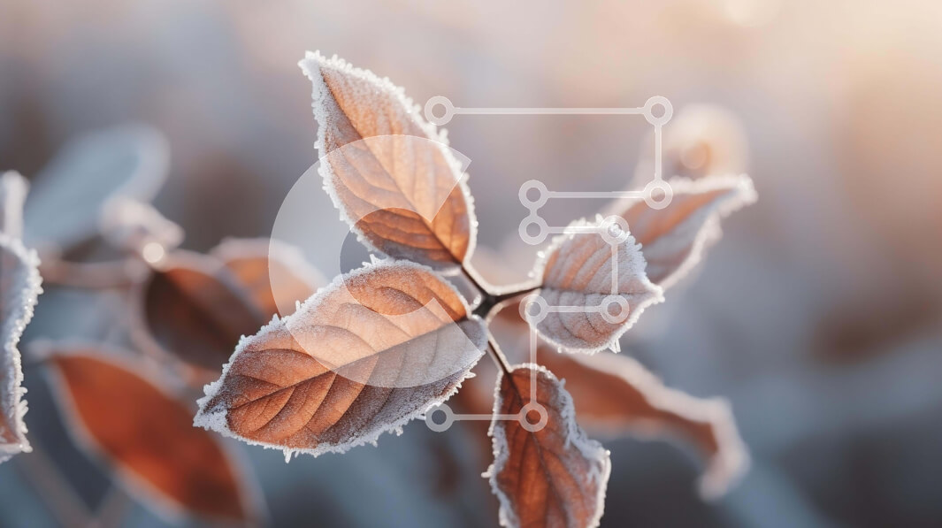 Intra Συλλεκτικό Ξύλινο Παζλ Plywood  4mm - Κοντινό πλάνο παγωμένων φύλλων σε ένα κλαδί με το φως του ήλιου Σε Ξύλινο Κουτί - Διαστάσεις: 10x10 cm – 25 κομμάτια