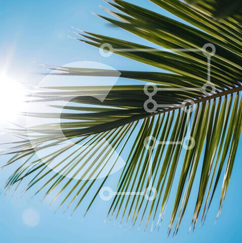 Intra Συλλεκτικό Ξύλινο Παζλ Plywood  4mm - Φύλλο φοίνικα με λαμπερό ήλιο και μπλε ουρανό Σε Ξύλινο Κουτί - Διαστάσεις: 10x10 cm – 25 κομμάτια - Image 1