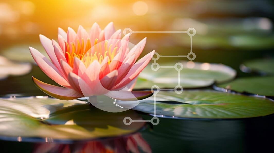 Intra Συλλεκτικό Ξύλινο Παζλ Plywood  4mm - Ροζ νούφαρο σε λίμνη με πράσινα φύλλα Σε Ξύλινο Κουτί - Διαστάσεις: 10x10 cm – 25 κομμάτια