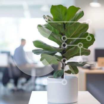 Intra Συλλεκτικό Ξύλινο Παζλ Plywood  4mm - Λευκό φυτό σε γλάστρα στο γραφείο Σε Ξύλινο Κουτί - Διαστάσεις Puzzle: 10x10 cm – 25 κομμάτια - Image 1