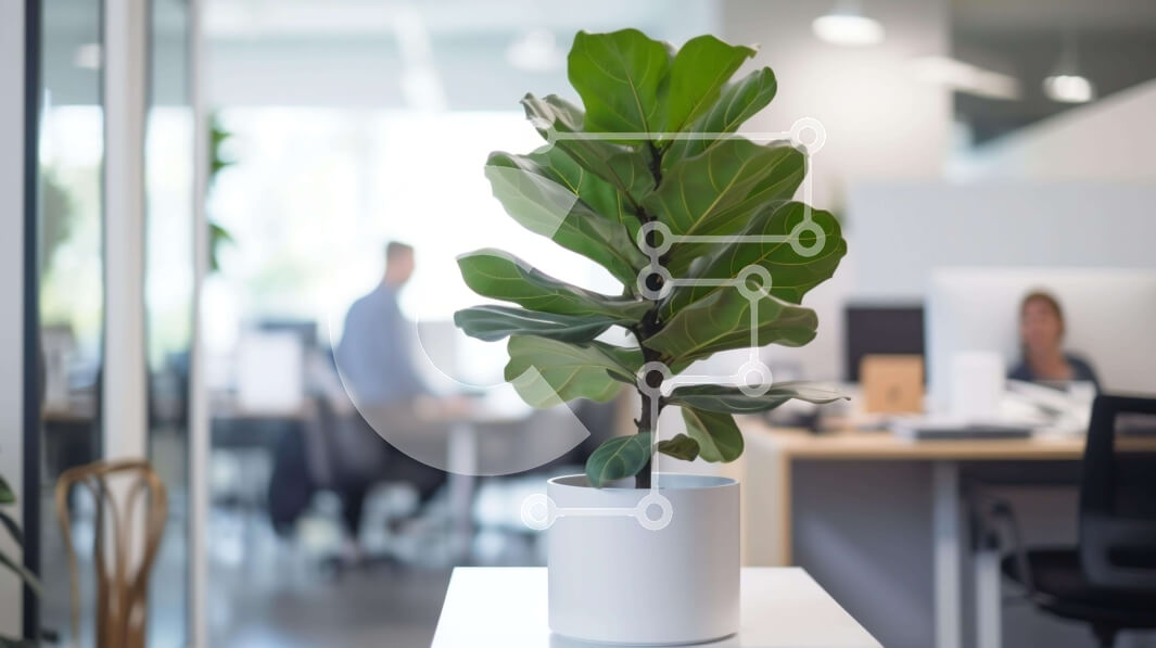 Intra Συλλεκτικό Ξύλινο Παζλ Plywood  4mm - Λευκό φυτό σε γλάστρα στο γραφείο Σε Ξύλινο Κουτί - Διαστάσεις Puzzle: 10x10 cm – 25 κομμάτια