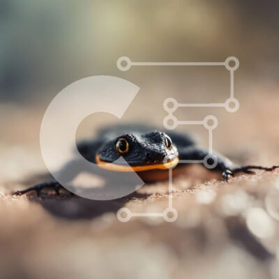 Intra Συλλεκτικό Ξύλινο Παζλ Plywood 4mm - Μικρός μαύρος και κίτρινος βάτραχος σε έναν βράχο Σε Ξύλινο Κουτί - Διαστάσεις: 10x10 cm – 25 κομμάτια - Image 1