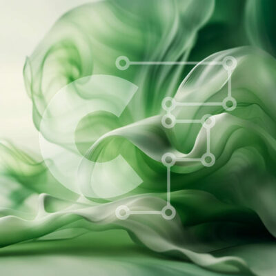 Intra Συλλεκτικό Ξύλινο Παζλ Plywood  4mm - Μακρο λήψη ενός μαραμένου φύλλου με ορατές φλέβες Σε Ξύλινο Κουτί - Διαστάσεις: 10x10 cm – 25 κομμάτια - Image 1