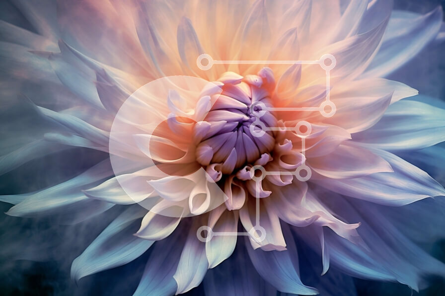 Intra Συλλεκτικό Ξύλινο Παζλ Plywood  4mm - Όμορφη κινηματογράφηση σε πρώτο πλάνο ενός ευαίσθητου λουλουδιού σε πλήρη άνθιση Σε Ξύλινο Κουτί - Διαστάσεις: 10x10 cm – 25 κομμάτια