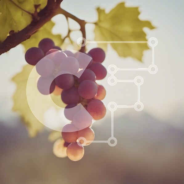 2imFvKFxgLh4AYzvq99cQlSQmDF-desktop