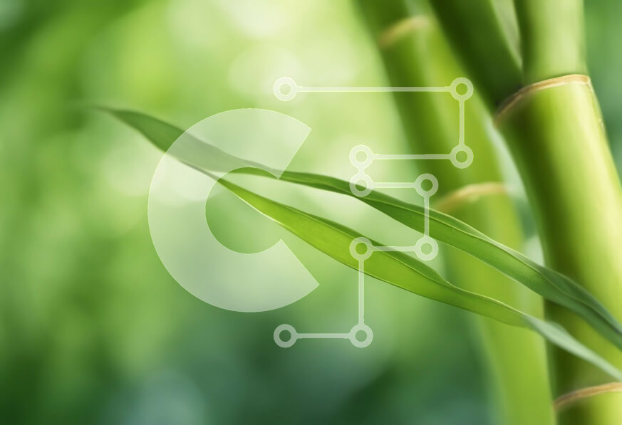 Intra Συλλεκτικό Ξύλινο Παζλ Plywood  4mm - Κοντινό πλάνο ενός φρέσκου βλαστού μπαμπού με πράσινα φύλλα Σε Ξύλινο Κουτί - Διαστάσεις: 10x10 cm – 25 κομμάτια