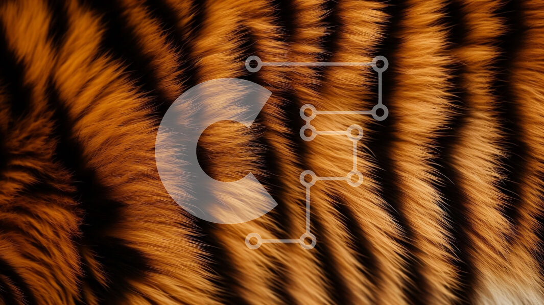 Intra Συλλεκτικό Ξύλινο Παζλ Plywood  4mm - Κοντινό πλάνο της γούνας τίγρης σε καφέ και πορτοκαλί Σε Ξύλινο Κουτί - Διαστάσεις: 10x10 cm – 25 κομμάτια