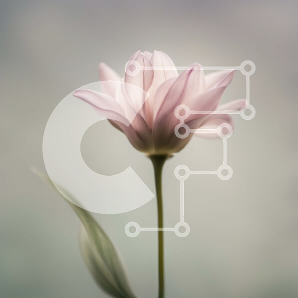 2imFz0X1gtQLRJB0BOPMIM38ZLi-desktop