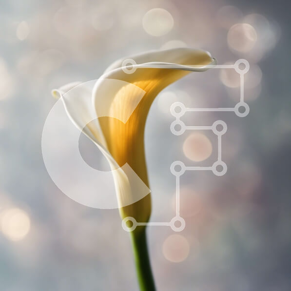 2imG1ZACdu0iHFcpd8Y1kQhiUC6-desktop