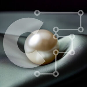 Intra Συλλεκτικό Ξύλινο Παζλ Plywood  4mm - Όμορφη εικόνα ενός λευκού μαργαριταριού σε ένα σκούρο πράσινο σατέν πανί Σε Ξύλινο Κουτί - Διαστάσεις: 10x10 cm – 25 κομμάτια