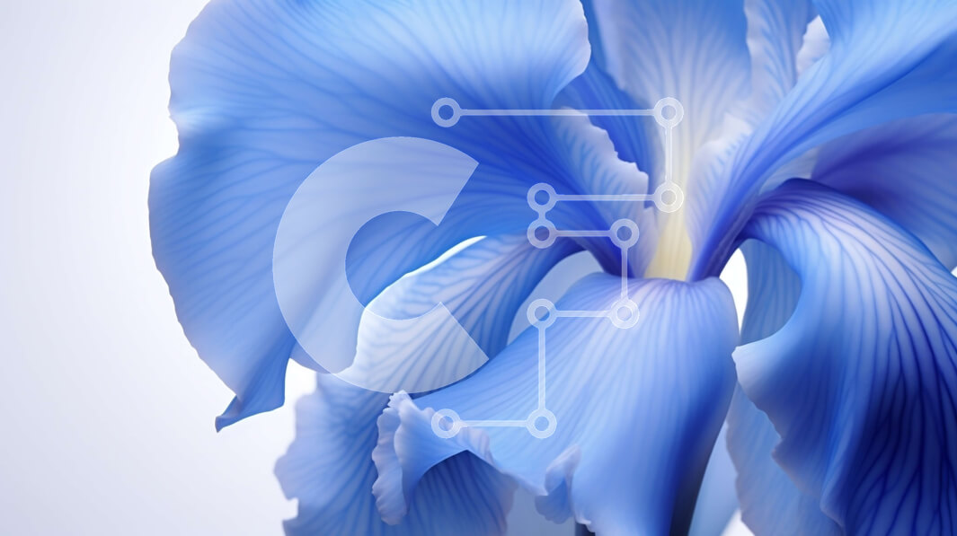 Intra Συλλεκτικό Ξύλινο Παζλ Plywood  4mm - Κοντινό πλάνο ενός μπλε λουλουδιού στην άνθιση Σε Ξύλινο Κουτί - Διαστάσεις: 10x10 cm – 25 κομμάτια