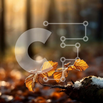 Intra Συλλεκτικό Ξύλινο Παζλ Plywood  4mm - Όμορφη εικόνα ενός κίτρινου φύλλου σε ένα κλαδί δέντρου σε ένα δάσος στο ηλιοβασίλεμα Σε Ξύλινο Κουτί - Διαστάσεις: 10x10 cm – 25 κομμάτια - Image 1