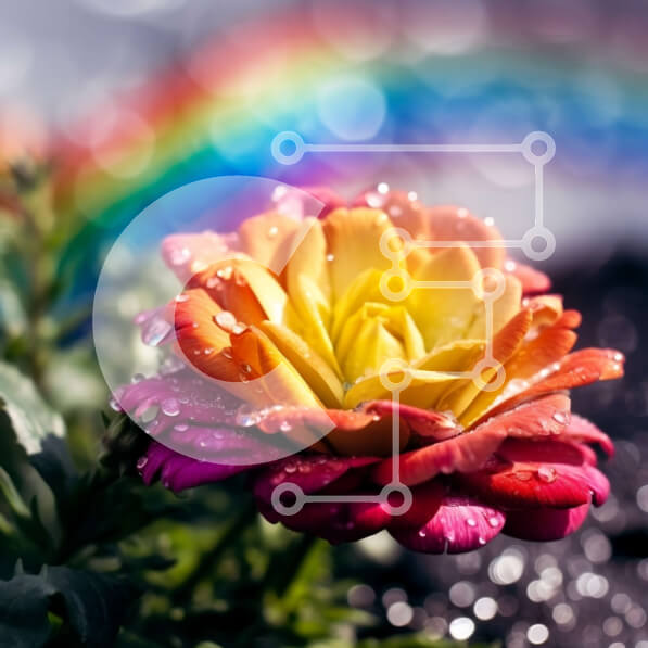 Intra Συλλεκτικό Ξύλινο Παζλ Plywood  4mm - Πολύχρωμο λουλούδι με σταγόνες βροχής και ένα ουράνιο τόξο στο φόντο Σε Ξύλινο Κουτί - Διαστάσεις: 10x10 cm – 25 κομμάτια