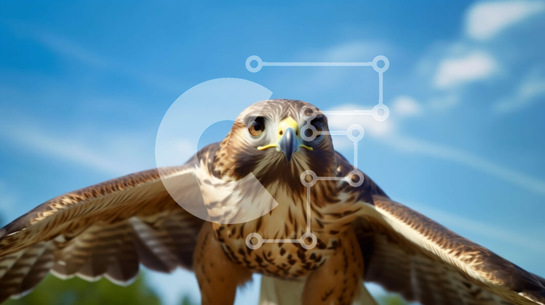 Intra Συλλεκτικό Ξύλινο Παζλ Plywood  4mm - Κοντινό πλάνο ενός μεγαλοπρεπούς γερακιού σε ένα κλαδί δέντρου Σε Ξύλινο Κουτί - Διαστάσεις: 10x10 cm – 25 κομμάτια