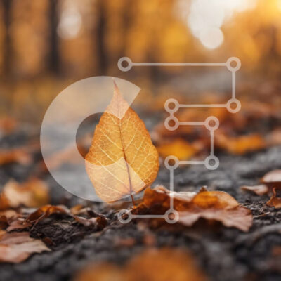 Intra Συλλεκτικό Ξύλινο Παζλ Plywood  4mm - Μονό κίτρινο φύλλο σε ένα δάσος με πορτοκαλί και κίτρινα φύλλα Σε Ξύλινο Κουτί - Διαστάσεις: 10x10 cm – 25 κομμάτια - Image 1