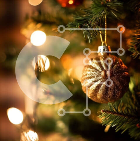 Intra Συλλεκτικό Ξύλινο Παζλ Plywood  4mm - Άνετο και γιορτινό χριστουγεννιάτικο δέντρο με χρυσά και ασημένια στολίδια Σε Ξύλινο Κουτί - Διαστάσεις: 10x10 cm – 25 κομμάτια - Image 1